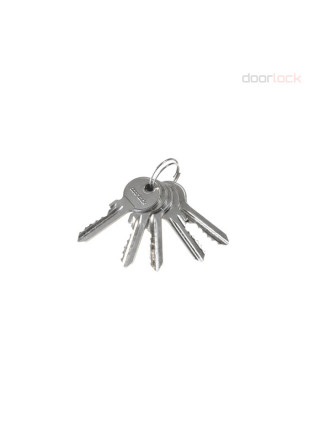 Цилиндровый механизм DOORLOCK V 2200Z N серия Variant, никелированный, 45x45мм, 5 ключей
