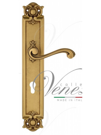 Ручка дверная на планке под цилиндр Venezia Vivaldi CYL PL97 французское золото + коричневый
